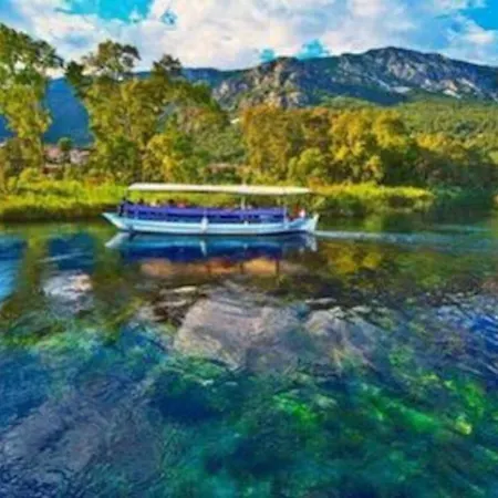 Hotel Orman Ile Ic Ice Agac Ev